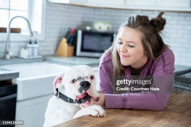 ugly mixed breed dog jumps on kitchen counter while playing with owner - ugliest dog contest stock pictures, royalty-free photos & images