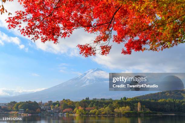 colorful maple trees at lake kawaguchiko against mt.fuji in autumn - roter ahorn stock-fotos und bilder