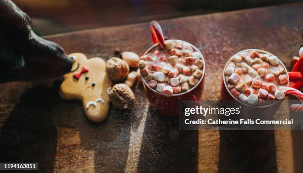 hot chocolate and sneaky dog - dog stealing food stock-fotos und bilder