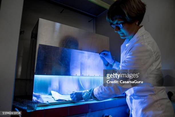 female laboratory technician with glasses using uv light machine for testing - stock photo - uv light stock pictures, royalty-free photos & images