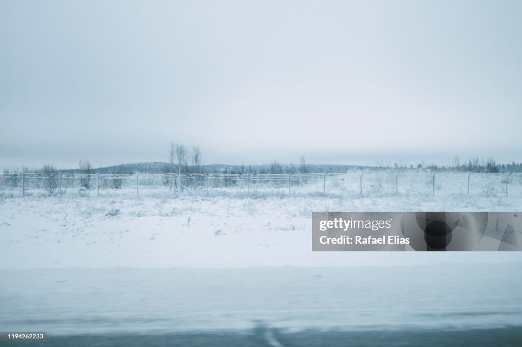 Snowy landscape