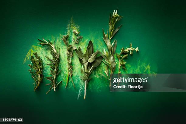 seasoning: herbs still life - tarragon stock pictures, royalty-free photos & images