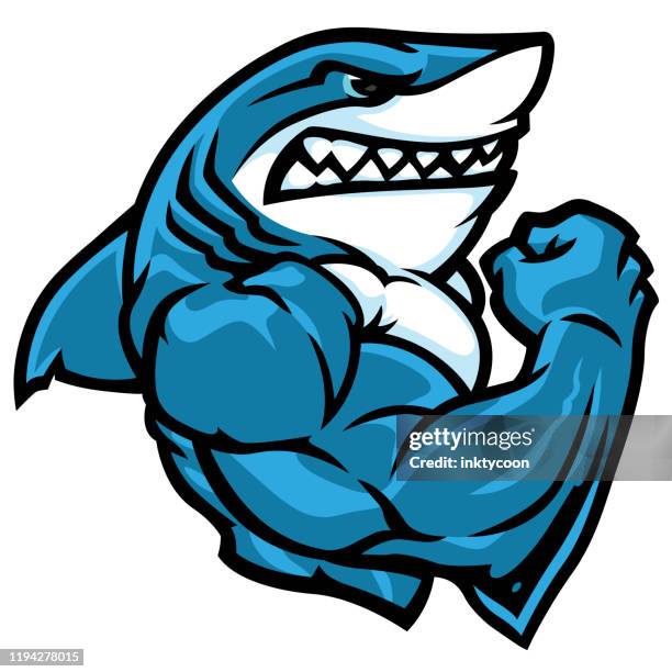 ilustrações, clipart, desenhos animados e ícones de tubarão que flexiona seus bíceps musculares. - mascote