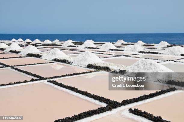 sea-salt - canary islands - salt flat stock pictures, royalty-free photos & images