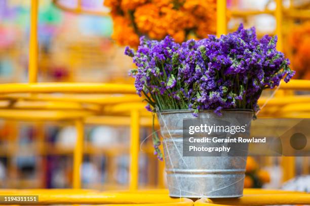 flowers, mexico city - flower bucket stock pictures, royalty-free photos & images