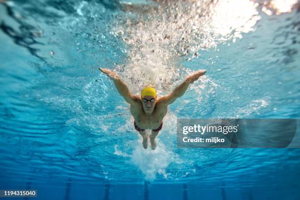 professional athlete at swimming sport training - swimming stroke stock pictures, royalty-free photos & images