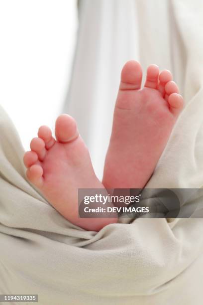 Hi Resolution Toes Close Up Of Newborn Baby Toes High-Res Stock Photo - Getty Images