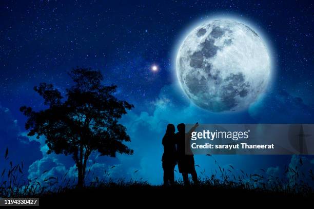 two young lovers are watching the full moon on a starry night. - moonlight lovers fotografías e imágenes de stock