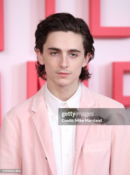 Timothee Chalamet during the "Little Women" photocall at Soho Hotel on December 16, 2019 in London, England.