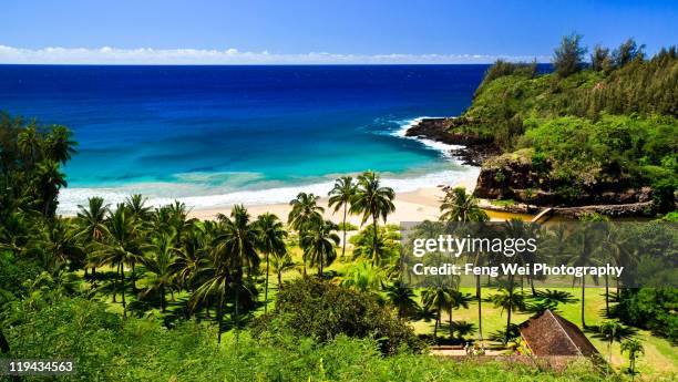 secluded beach, south kauai - hawaii islands stock-fotos und bilder