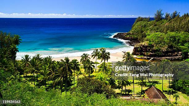 secluded beach, south kauai - big island hawaii islands fotografías e imágenes de stock