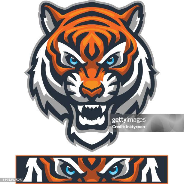 athletic tiger mascot - panthera tigris tigris stock illustrations