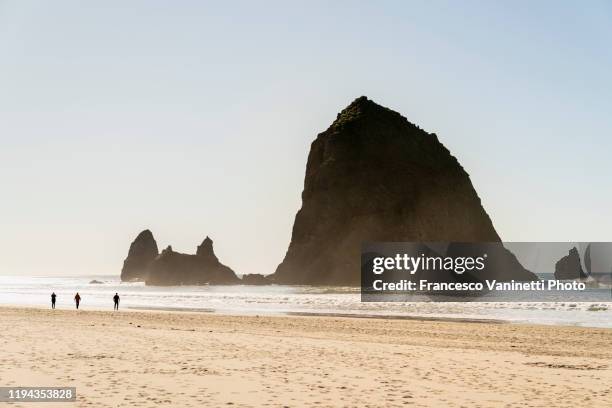 people walking on cannon beach, oregon, usa. - cannon beach imagens e fotografias de stock