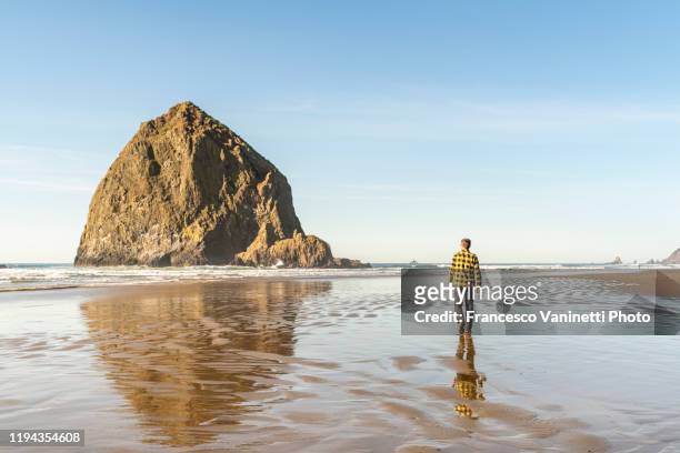 man walking on cannon beach, oregon, usa. - cannon beach imagens e fotografias de stock
