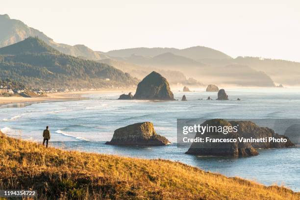 man looking at view, ecola state park, cannon beach, oregon, usa. - oregon 個照片及圖片檔