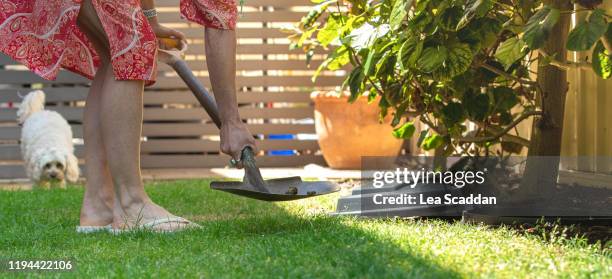 burying dog faeces in a special dog waste bin - burying stock pictures, royalty-free photos & images