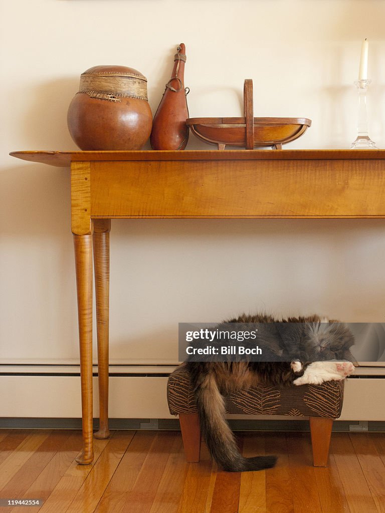 Cat sleeping on foot stool