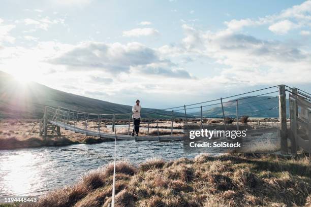 crossing bridge over lake - suspension bridge stock pictures, royalty-free photos & images