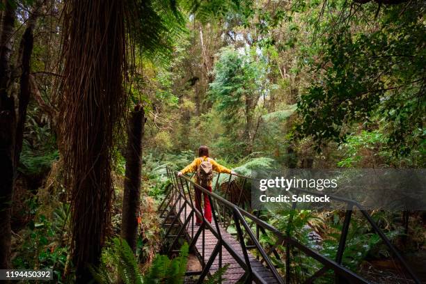 traverser le pont! - new zealand photos et images de collection