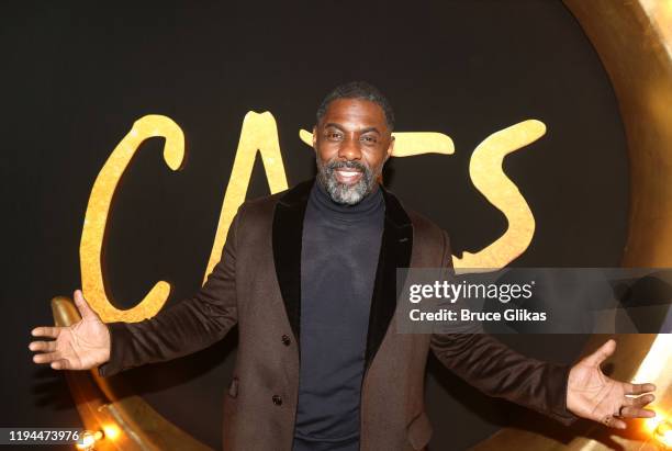Idris Elba poses at the World Premiere of the new film "Cats" based on the Andrew Lloyd Webber musical at Alice Tully Hall, Lincoln Center on...