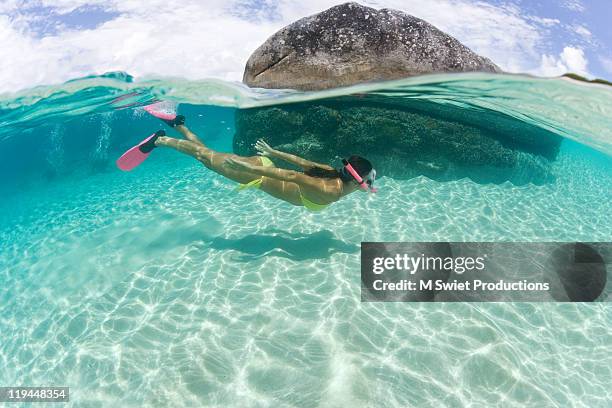 woman free dive - caraïbische zee stockfoto's en -beelden