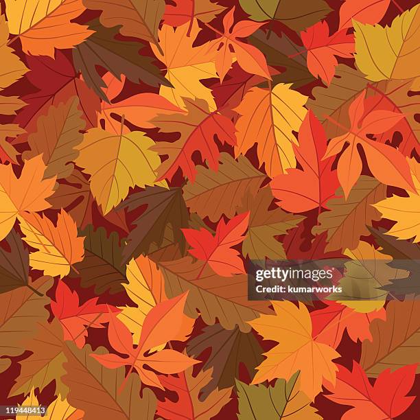 bildbanksillustrationer, clip art samt tecknat material och ikoner med seamless leaves pattern - höstlövverk