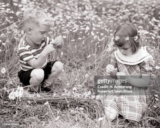 38 Boy Pulling Girl Hair Photos and Premium High Res Pictures - Getty Images 38 Boy Pulling Girl Hair Photos and Premium High Res Pictures - Getty Images