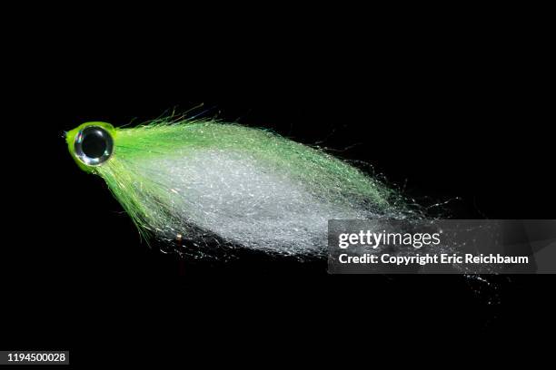 artificial baitfish fly for fly fishing - fly casting imagens e fotografias de stock