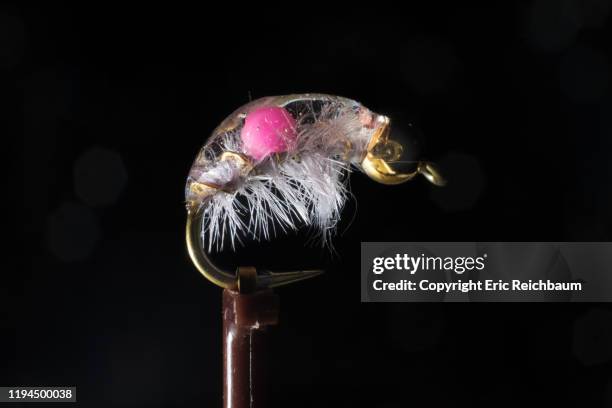 Scida Fly 1,064 The Scud Stock Photos, High-Res Pictures, and Images - Getty Images