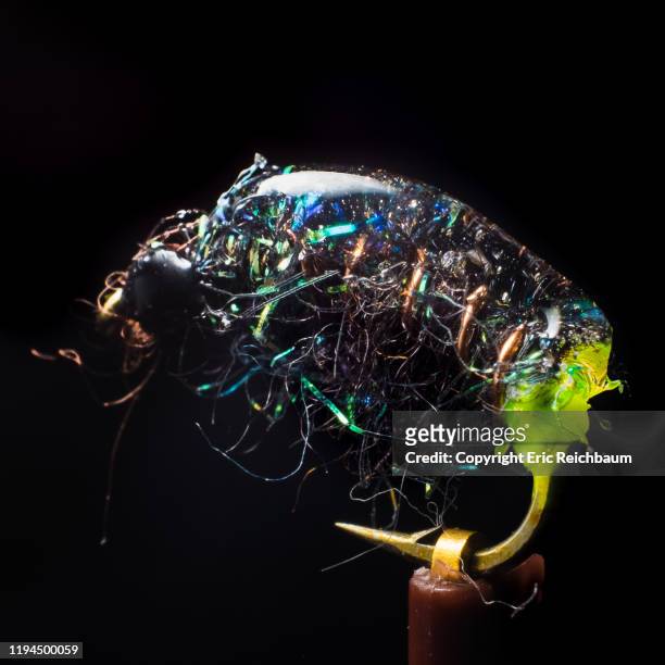 a macro photo of an artificial scud fishing fly - fly casting imagens e fotografias de stock