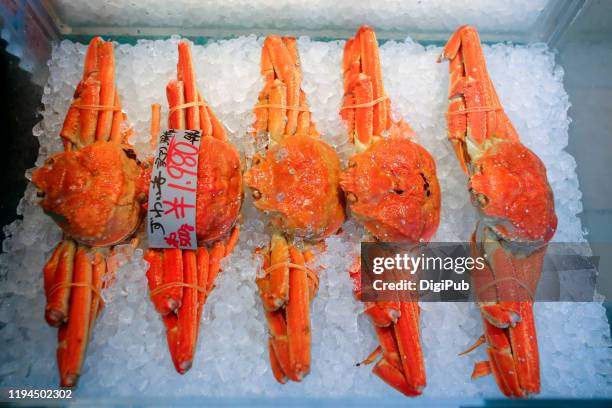 snow crabs kept in ice at crab market - spider crab ストックフォトと画像