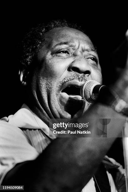 Muddy Waters at Harry Hopes in Cary, IL on August 25,1978.