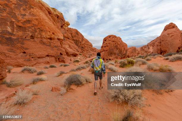 young man in tie dye hoodie hiking in valley of fire - red rock formation stock pictures, royalty-free photos & images