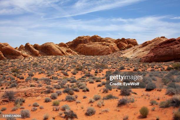 desert landscape with red rocks and blue skies at the valley of fire, nevada - gesteinsart stock-fotos und bilder