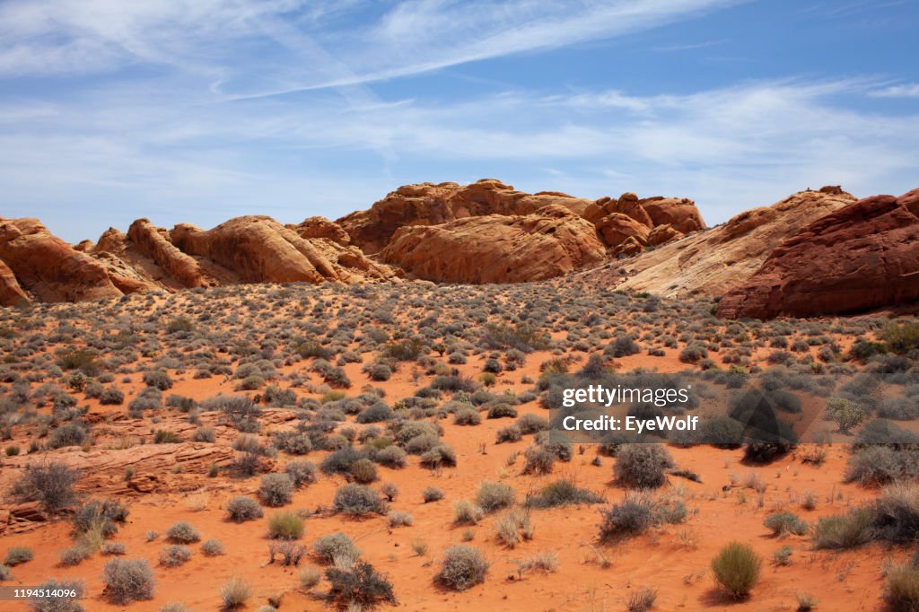 Desert Landscape with red rocks and blue skies at the Valley of Fire, Nevada