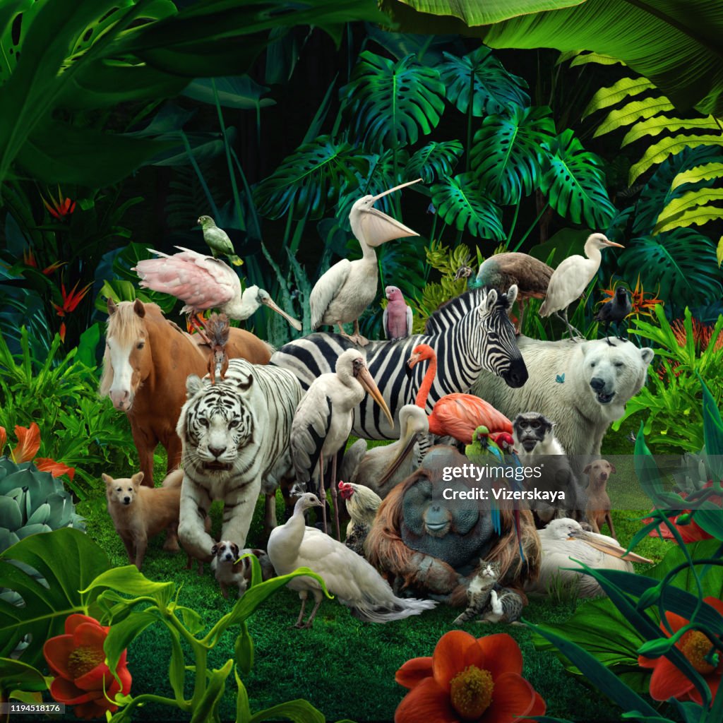 Große Familie im Wald