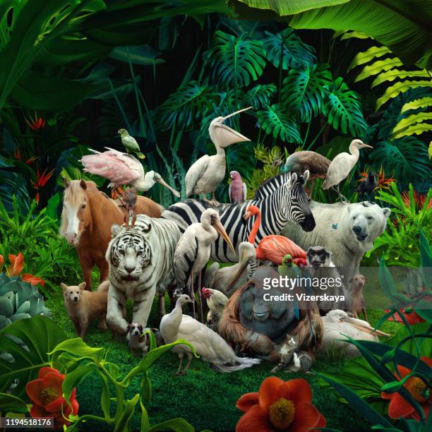 big family in the forest - animal themes stock pictures, royalty-free photos & images