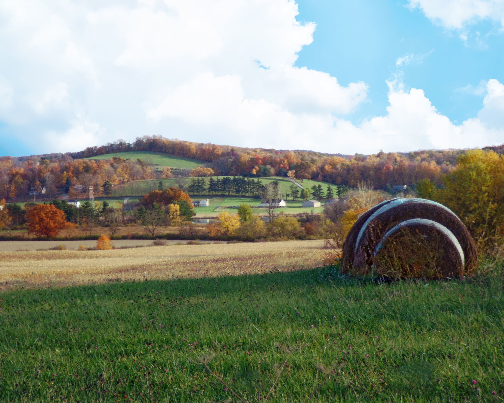potter county scenery
