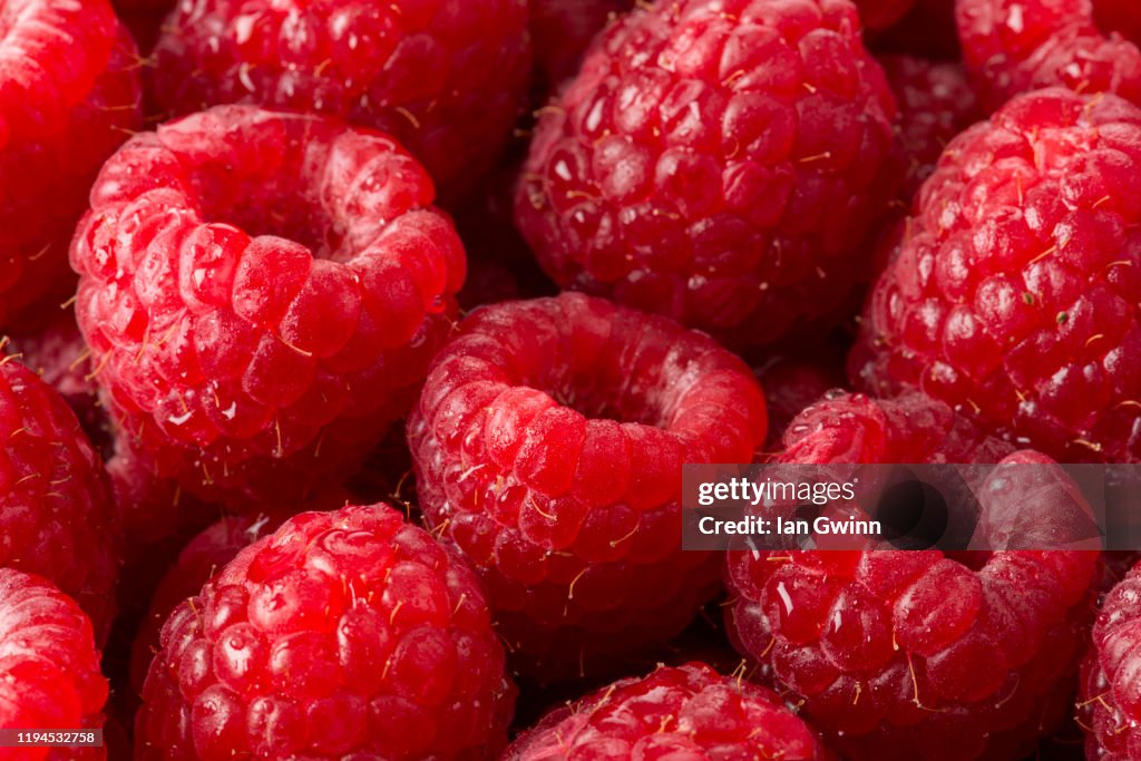 Raspberries Abstract