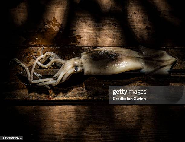 squid and harpoon - ian gwinn stock pictures, royalty-free photos & images