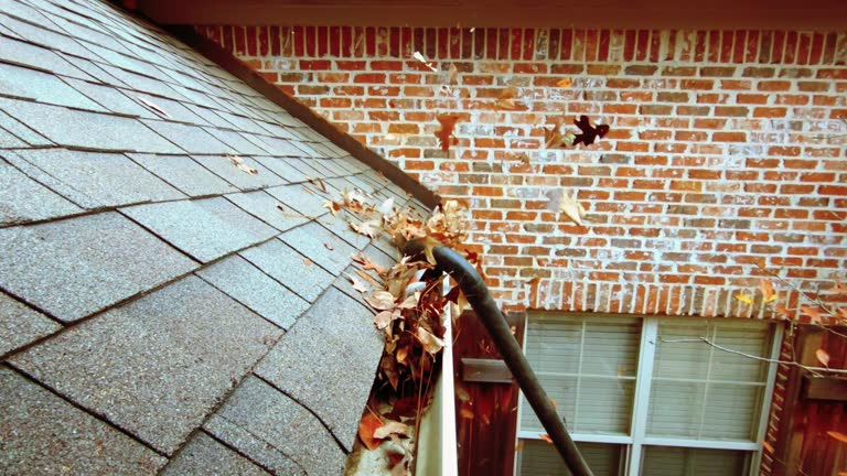 https://media.gettyimages.com/id/1194556105/video/blower-cleaning-leaves-out-of-gutter.jpg?b=1&s=640x640&k=20&c=2zV10Dkh4q8z9INF2GzpvNyNCG_LY91xMxHt4aSUYLs=