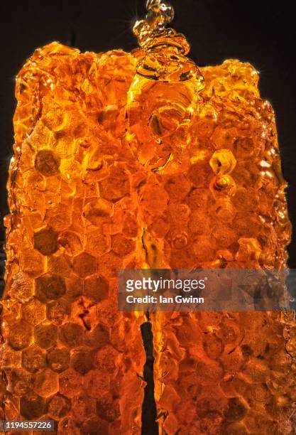 honeycomb_1 - ian gwinn stock pictures, royalty-free photos & images