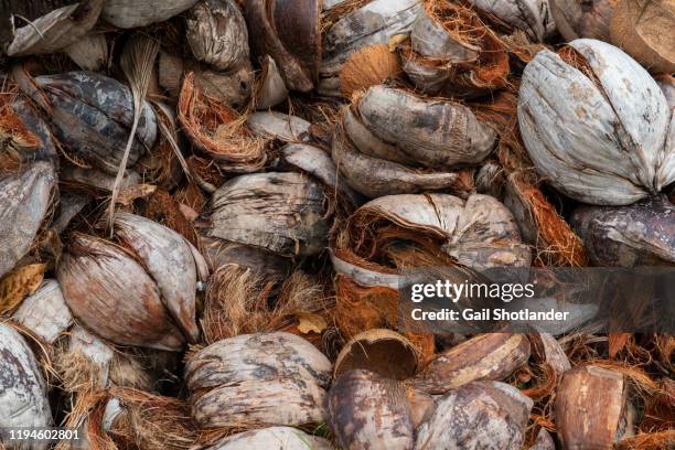 coconut husks - husk stock-fotos und bilder