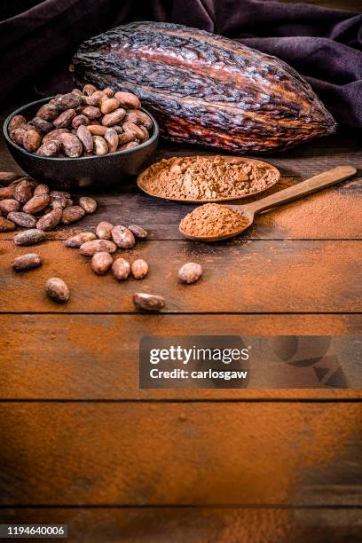 cacaopoeder, cacaobonen en cacaoschil met kopieer ruimte - cacao pod stockfoto's en -beelden