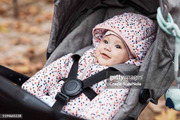 niedlichkeit soverload - baby stroller stock-fotos und bilder