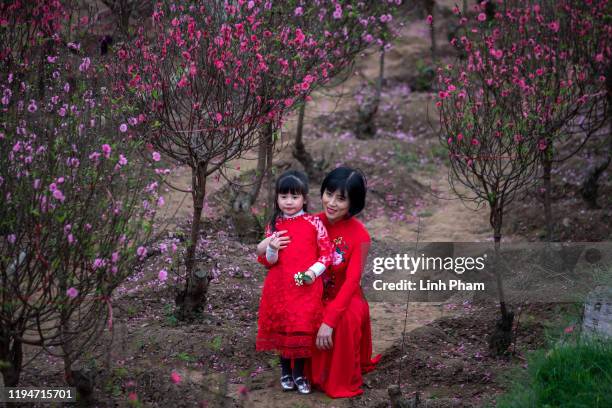 People pose for photos with cherry blossoms at Nhat Tan flower village prior to the Lunar New Year or Tet celebrations on January 19, 2020 in Hanoi,...