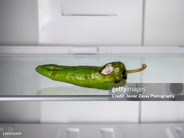 rotten green pepper in an empty refrigerator - pourrir photos et images de collection