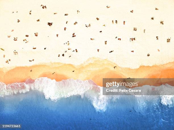 aerial view of a sandy beach in australia - manly beach stock-fotos und bilder