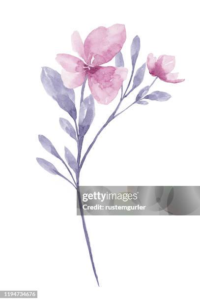 illustrazioni stock, clip art, cartoni animati e icone di tendenza di acquerello fiore sfondo bianco - dipinto a pastello