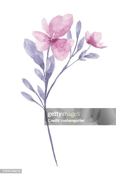 stockillustraties, clipart, cartoons en iconen met aquarel bloem witte achtergrond - pasteltekening